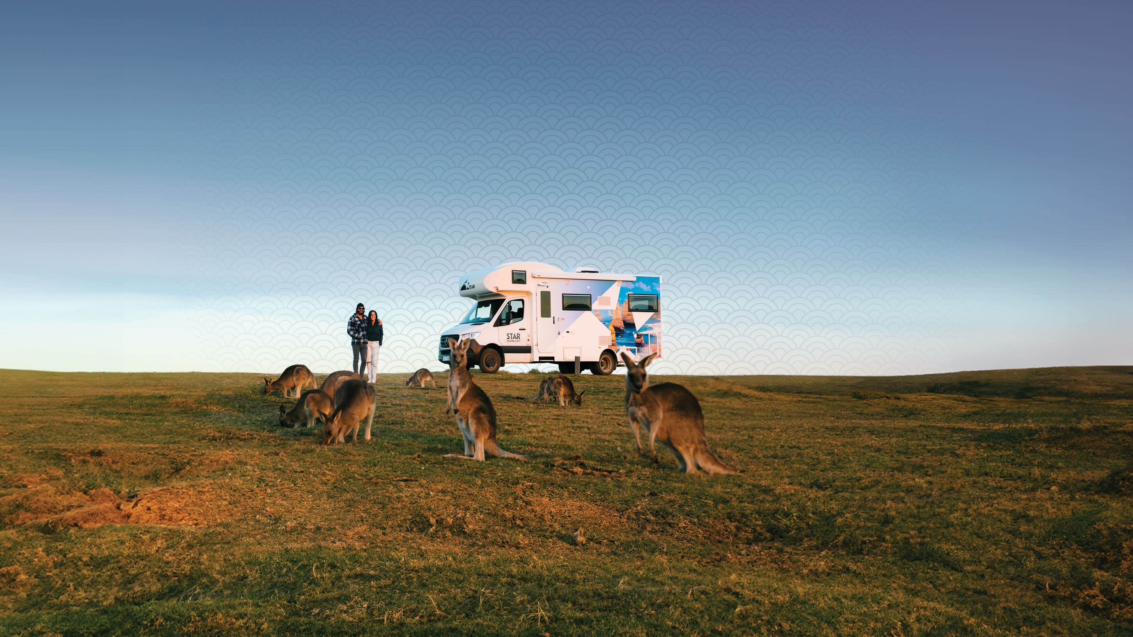 Star RV with kangaroos